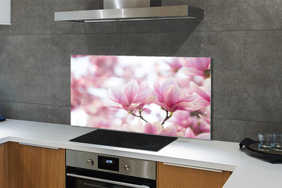 Kitchen Splashback magnolia