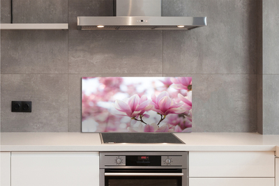 Kitchen Splashback magnolia