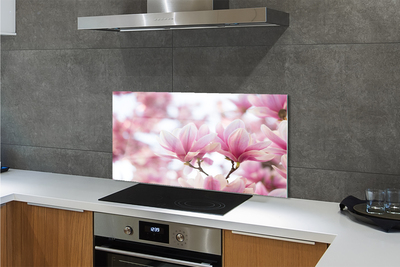 Kitchen Splashback magnolia