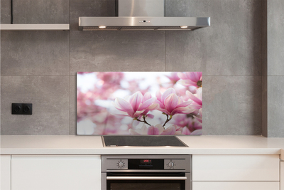 Kitchen Splashback magnolia