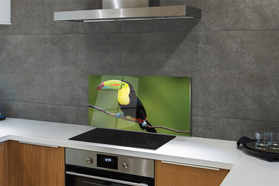 Kitchen Splashback Parrot on a branch colored