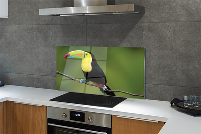 Kitchen Splashback Parrot on a branch colored