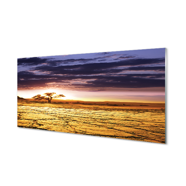 Kitchen Splashback Clouds tree sky