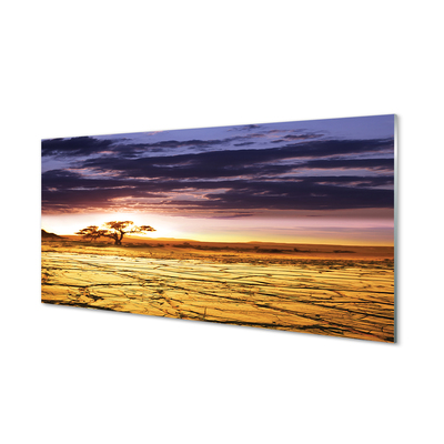 Kitchen Splashback Clouds tree sky