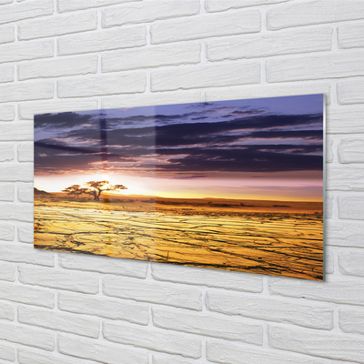 Kitchen Splashback Clouds tree sky