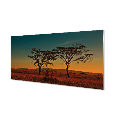 Kitchen Splashback sky tree