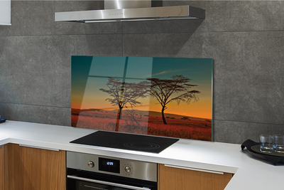 Kitchen Splashback sky tree