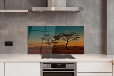 Kitchen Splashback sky tree