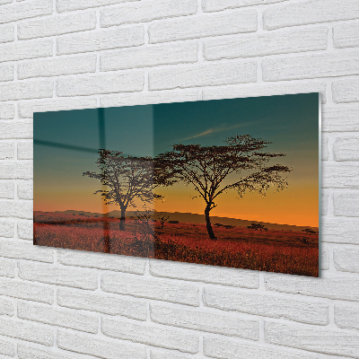 Kitchen Splashback sky tree