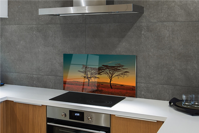 Kitchen Splashback sky tree