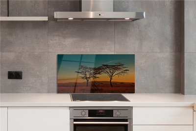 Kitchen Splashback sky tree