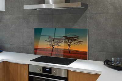 Kitchen Splashback sky tree