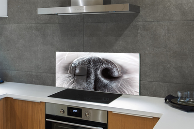 Kitchen Splashback Hundenase