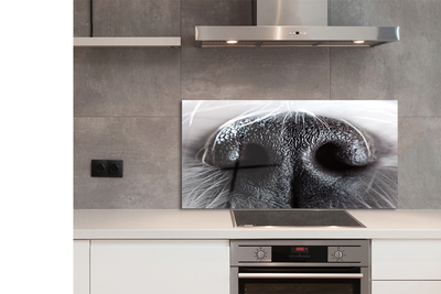 Kitchen Splashback Hundenase