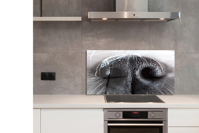 Kitchen Splashback Hundenase