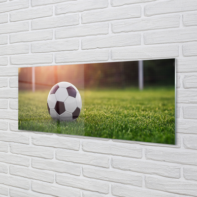 Kitchen Splashback Grass football Gateway