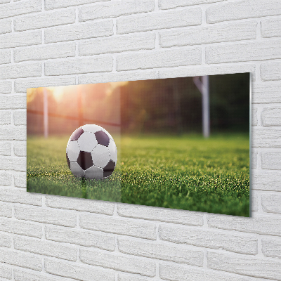 Kitchen Splashback Grass football Gateway