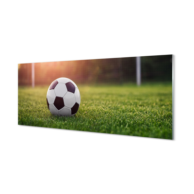 Kitchen Splashback Grass football Gateway