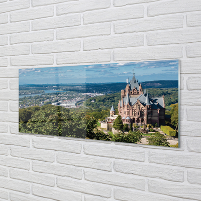 Kitchen Splashback Germany Panorama of the castle of the city