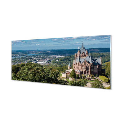 Kitchen Splashback Germany Panorama of the castle of the city