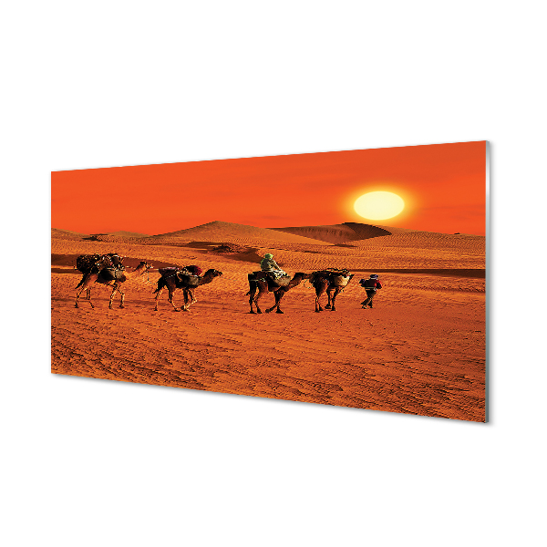 Kitchen Splashback Camels sky sun desert people