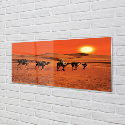 Kitchen Splashback Camels sky sun desert people