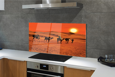 Kitchen Splashback Camels sky sun desert people