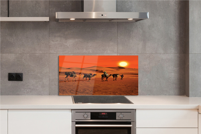 Kitchen Splashback Camels sky sun desert people