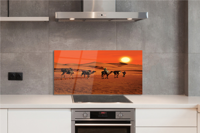 Kitchen Splashback Camels sky sun desert people