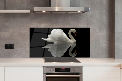 Kitchen Splashback Swan at night