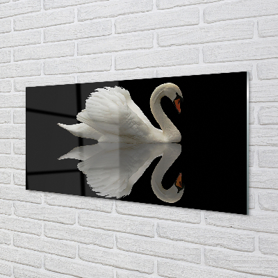 Kitchen Splashback Swan at night