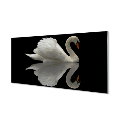 Kitchen Splashback Swan at night