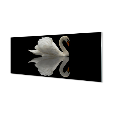 Kitchen Splashback Swan at night