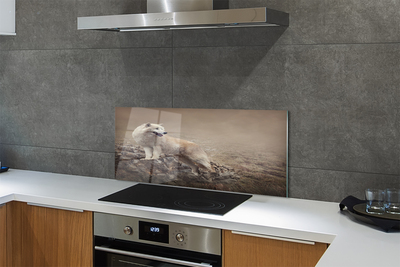 Kitchen Splashback Wolf mountain