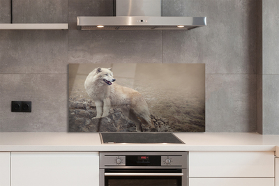 Kitchen Splashback Wolf mountain