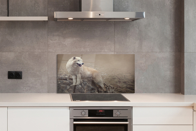 Kitchen Splashback Wolf mountain