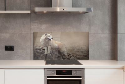 Kitchen Splashback Wolf mountain