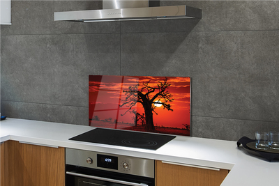 Kitchen Splashback Trees sky clouds