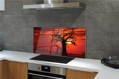 Kitchen Splashback Trees sky clouds