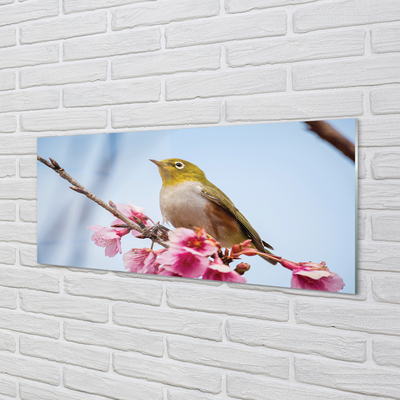 Kitchen Splashback Bird on a branch