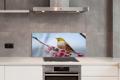 Kitchen Splashback Bird on a branch