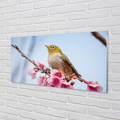 Kitchen Splashback Bird on a branch