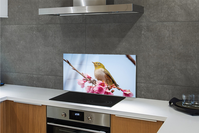 Kitchen Splashback Bird on a branch