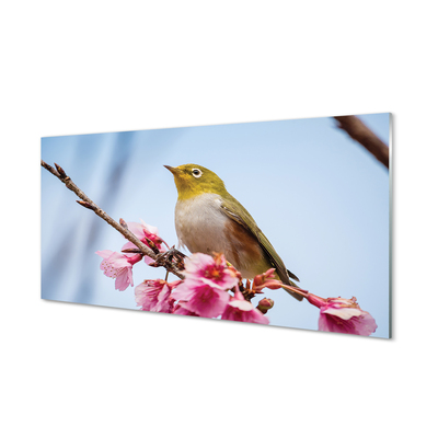 Kitchen Splashback Bird on a branch