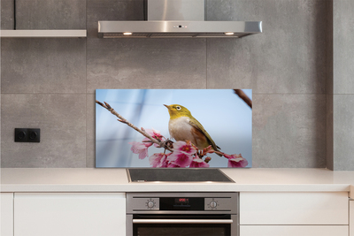 Kitchen Splashback Bird on a branch