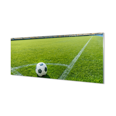 Kitchen Splashback Football stadium grass