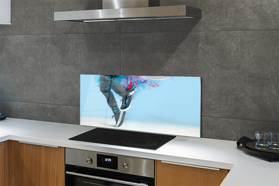 Kitchen Splashback Ciapki colored legs