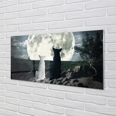 Kitchen Splashback Wolves Moon Forest