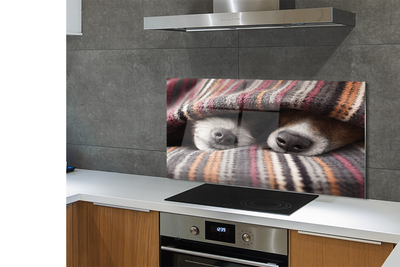 Kitchen Splashback Sleeping Dogs