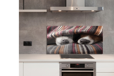 Kitchen Splashback Sleeping Dogs